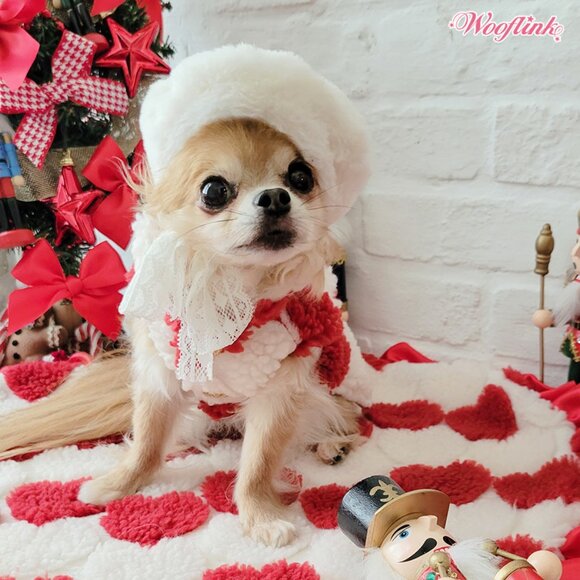 Wooflink Hearts Vest - Size 6 - Picture 2 of 6